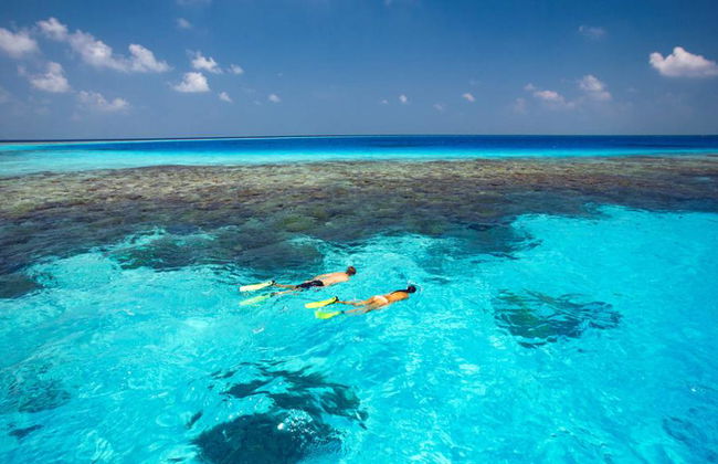 Excursión Isla Saona VIP - Foto 5
